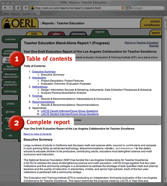 Screenshot displaying a complete report.